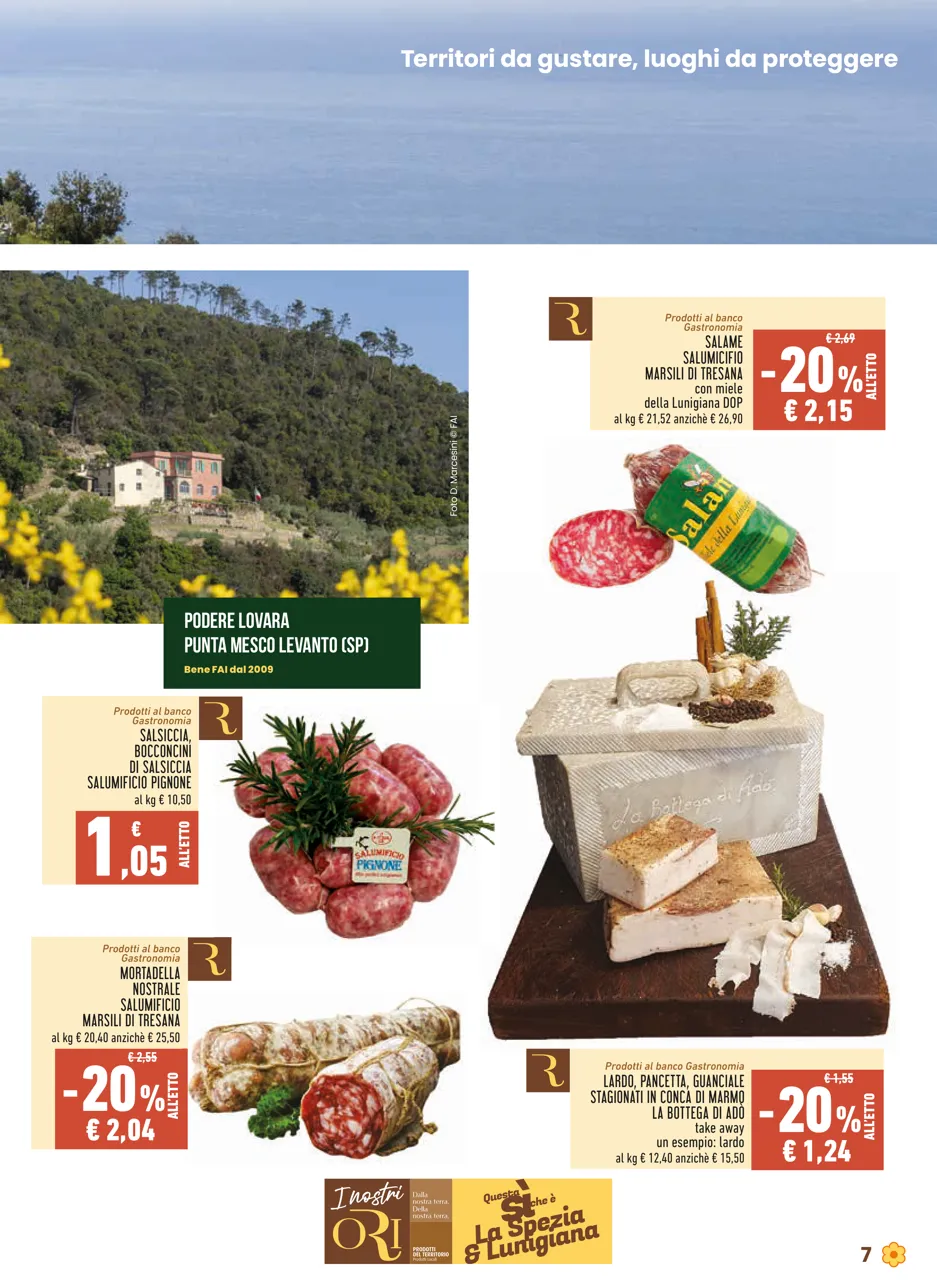 Pagina 7