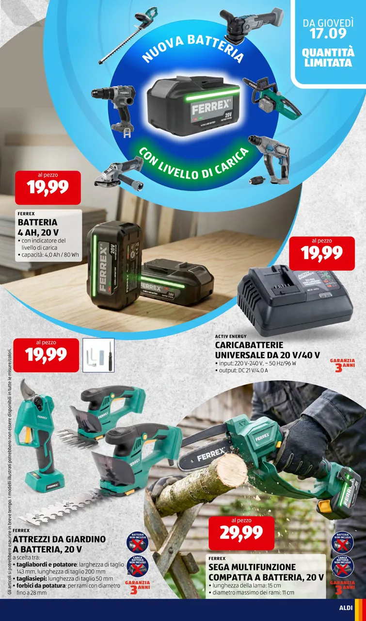 Pagina 31