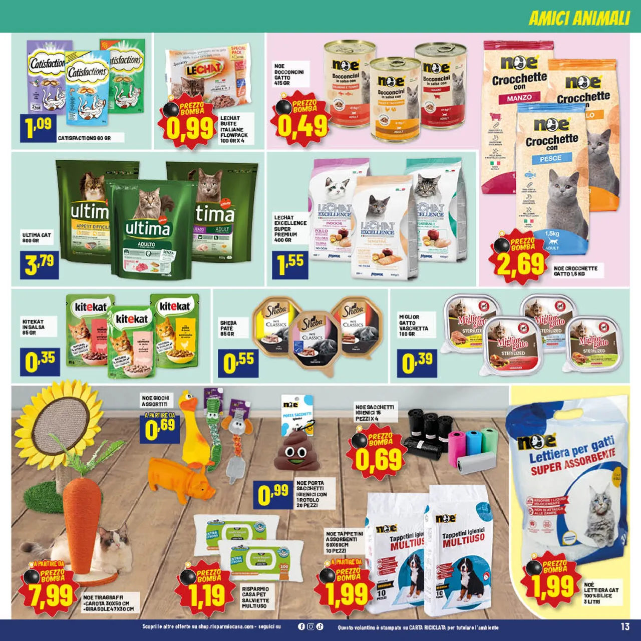 Pagina 13