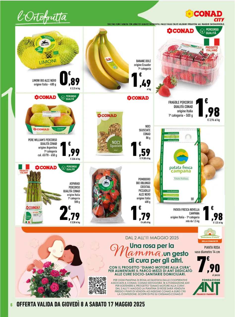 Pagina 6