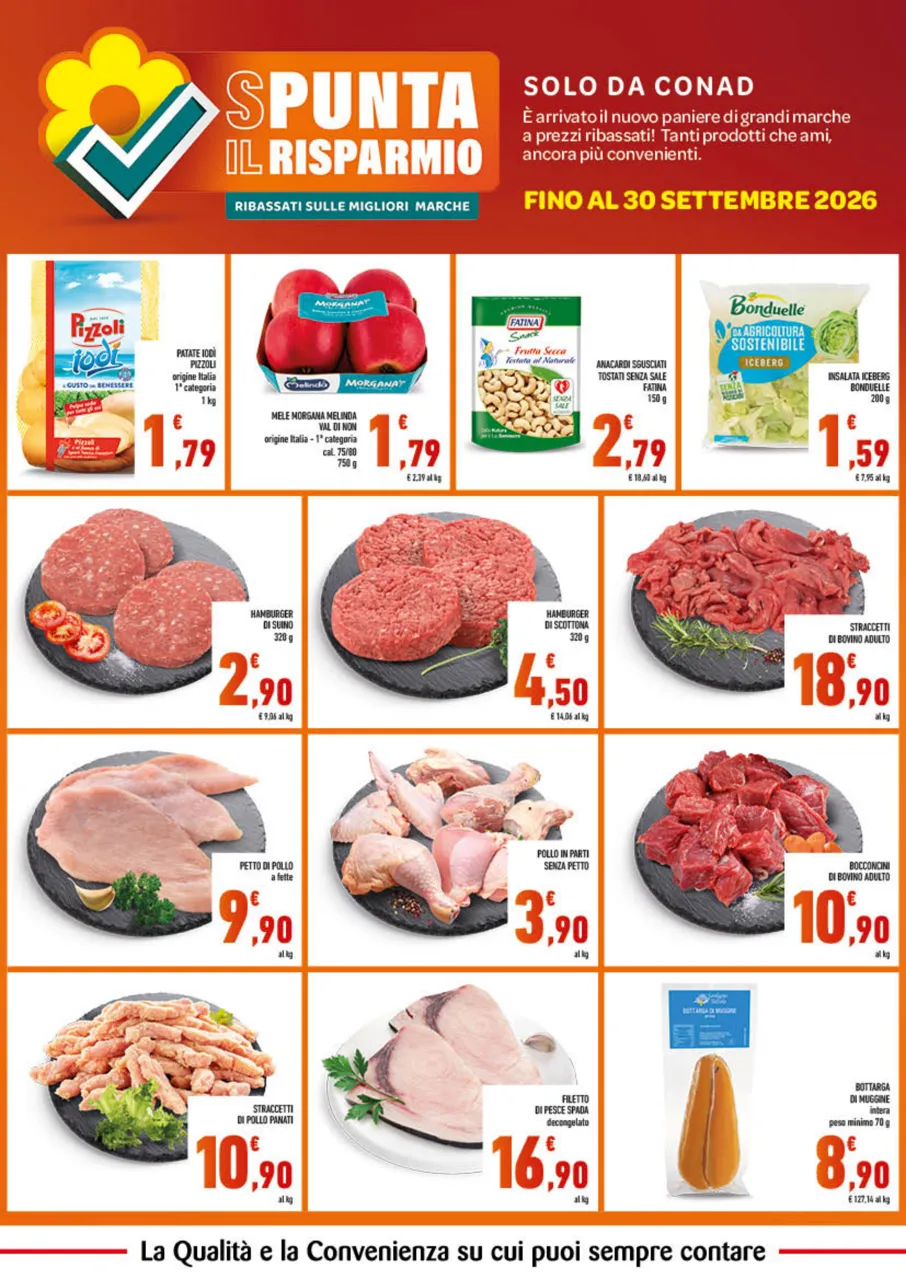 Pagina 2