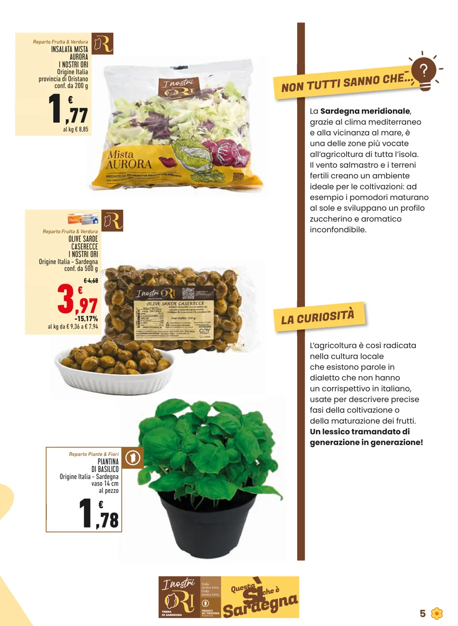 Pagina 5