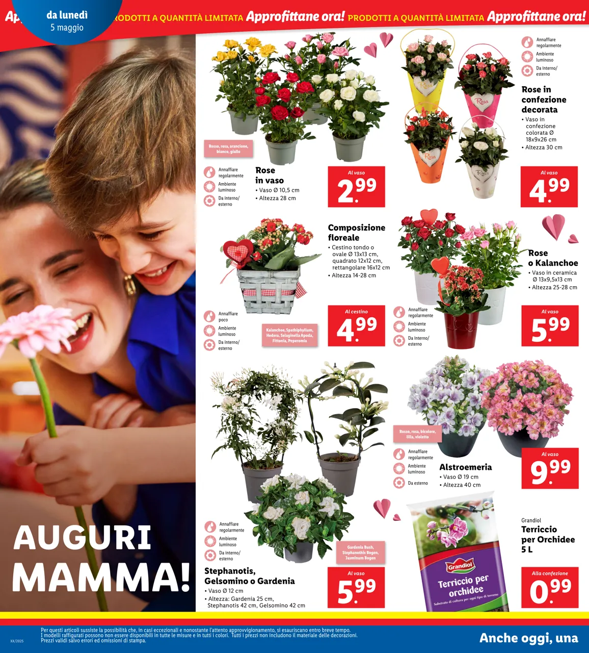 Pagina 22