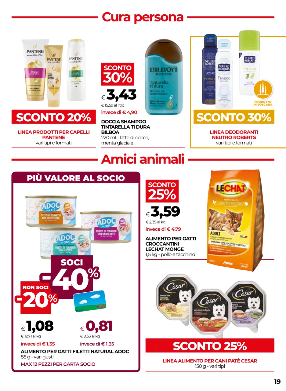 Pagina 19