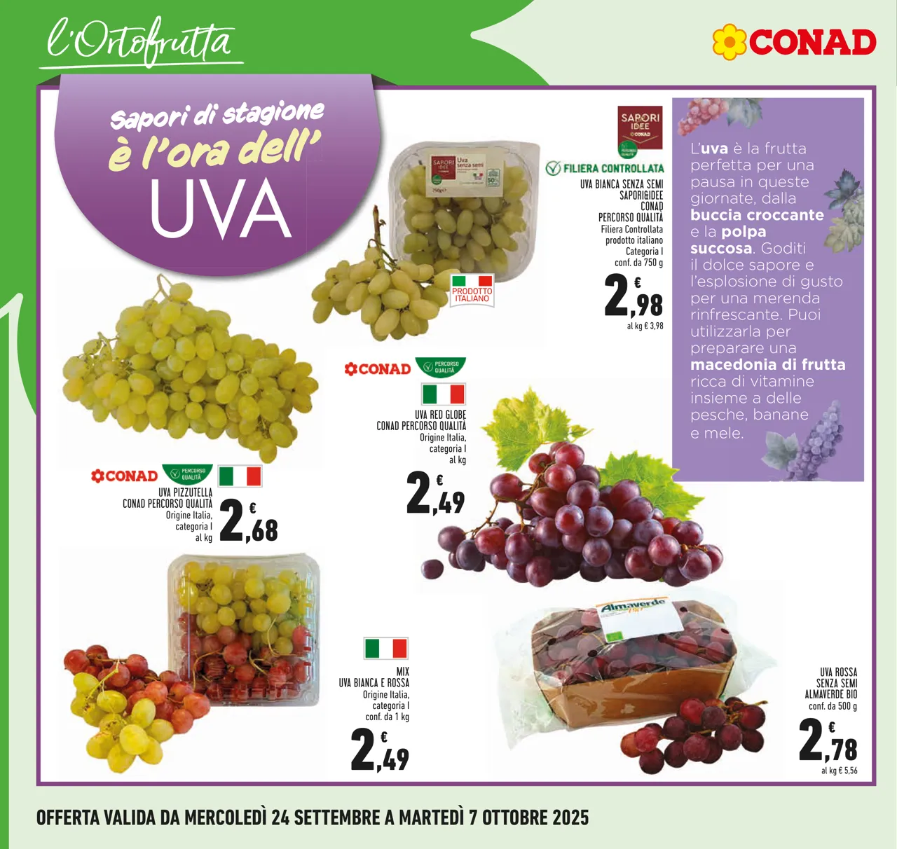 Pagina 6
