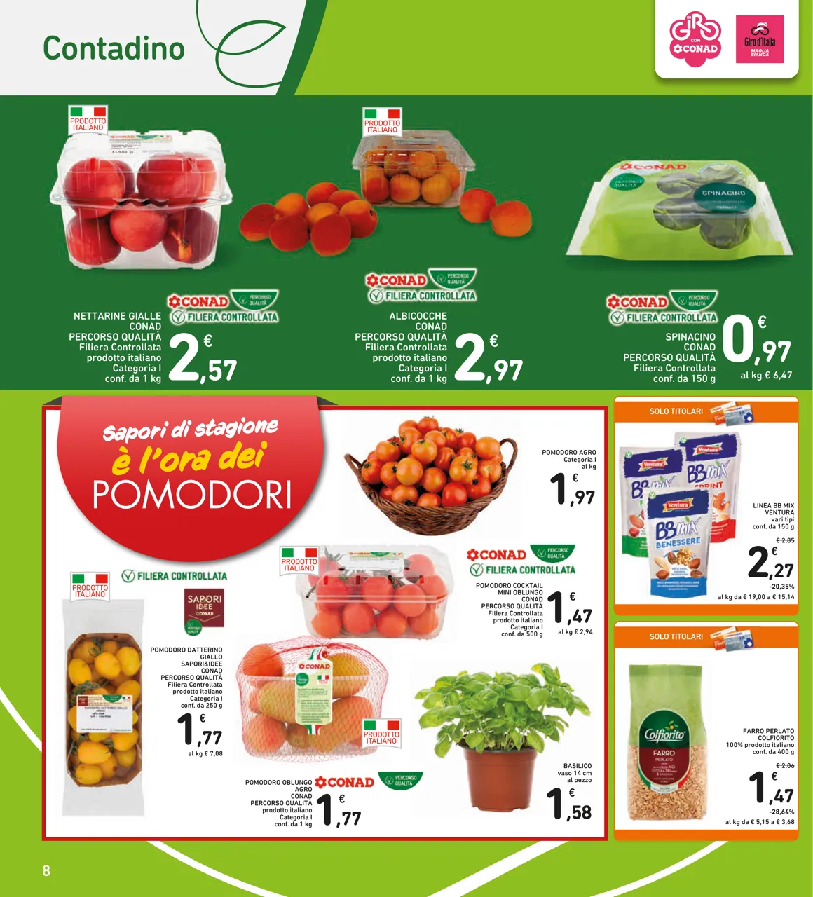 Pagina 8