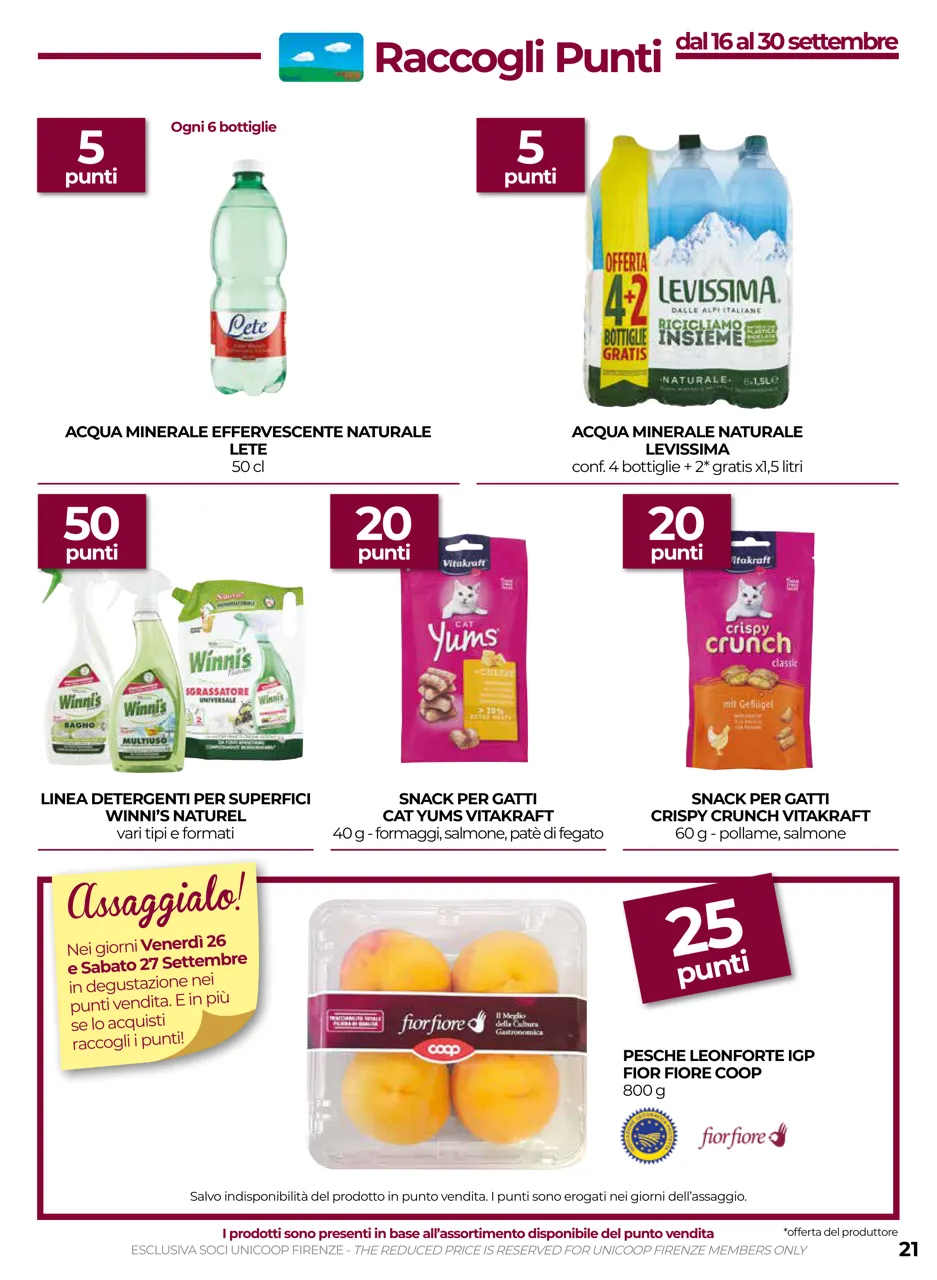 Pagina 21
