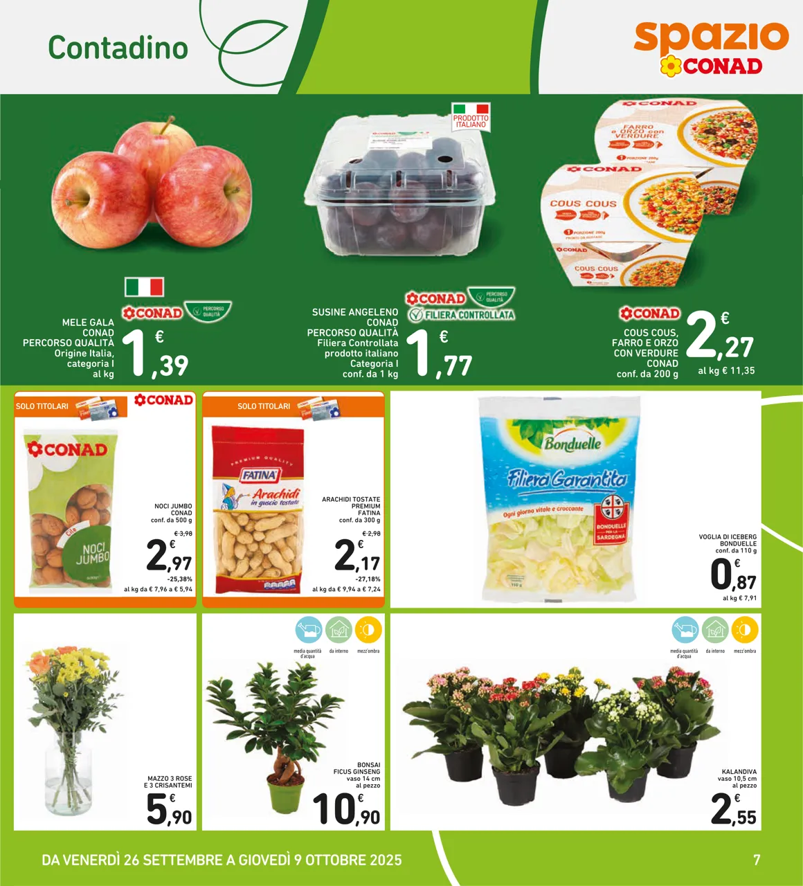 Pagina 7