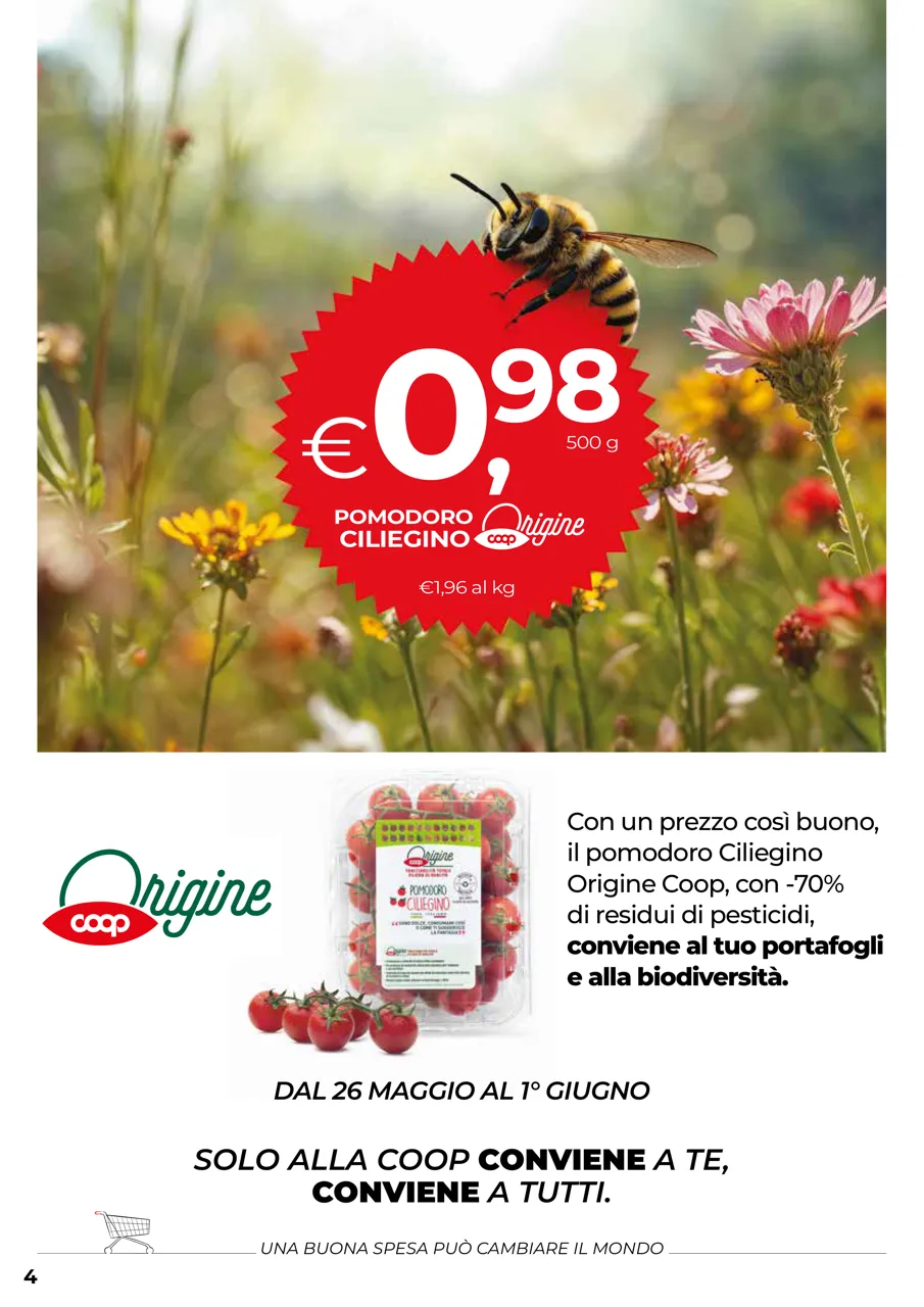Pagina 4