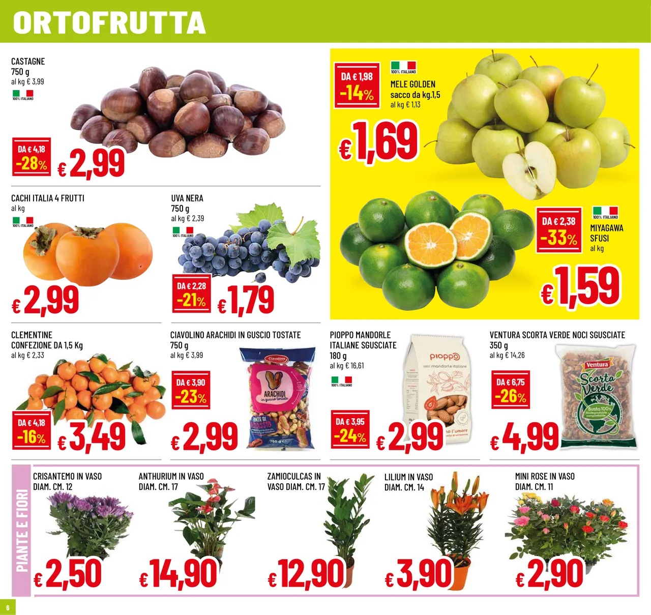 Pagina 6