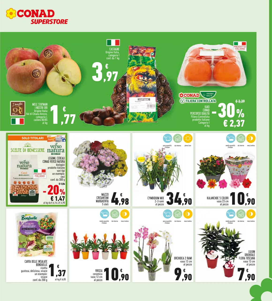 Pagina 7