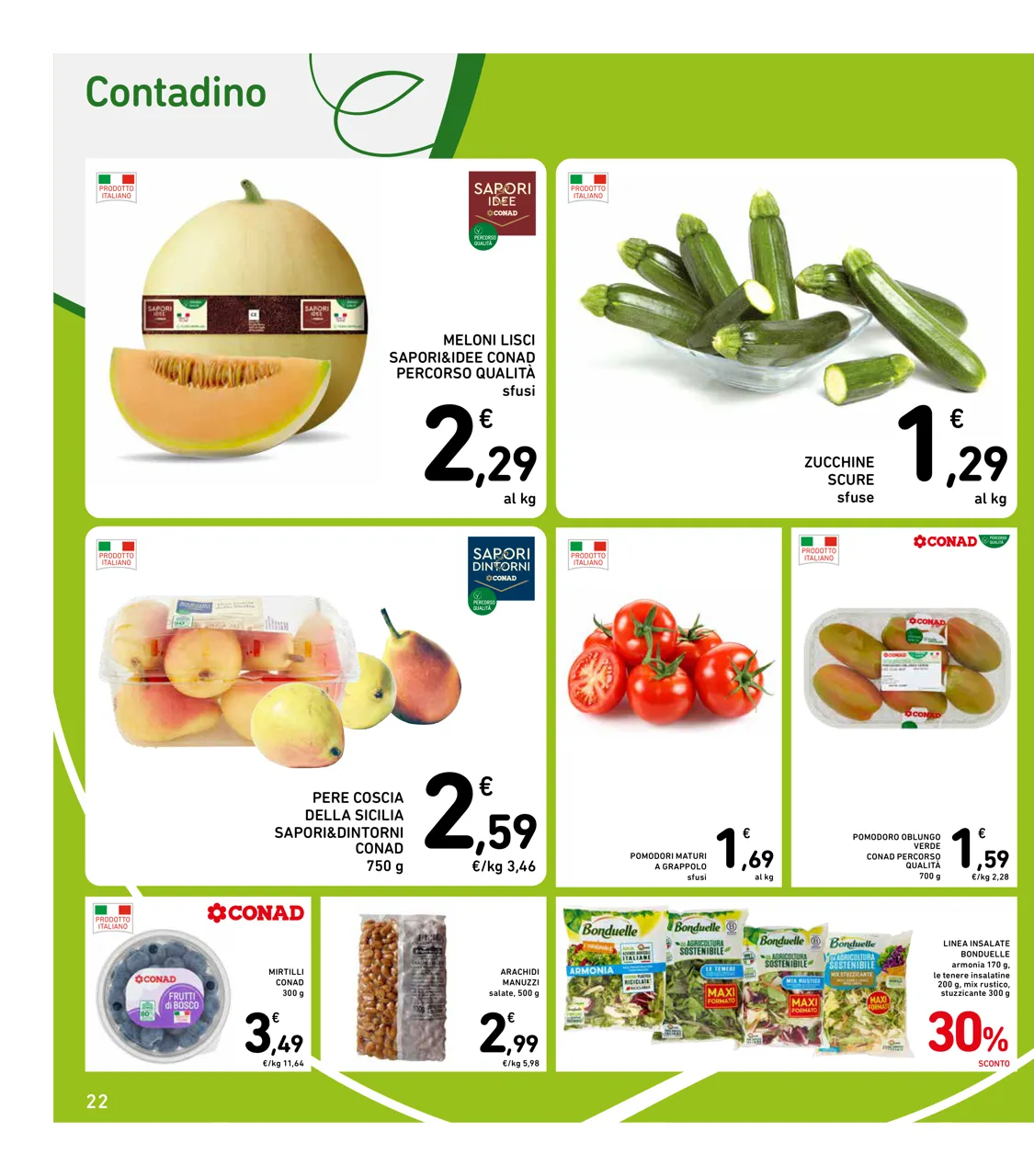 Pagina 22