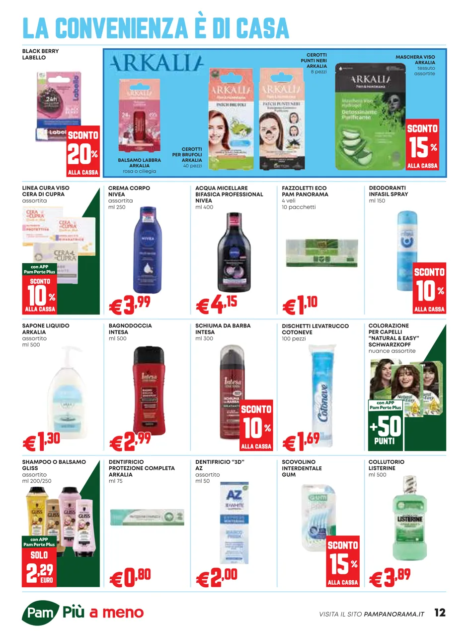 Pagina 12
