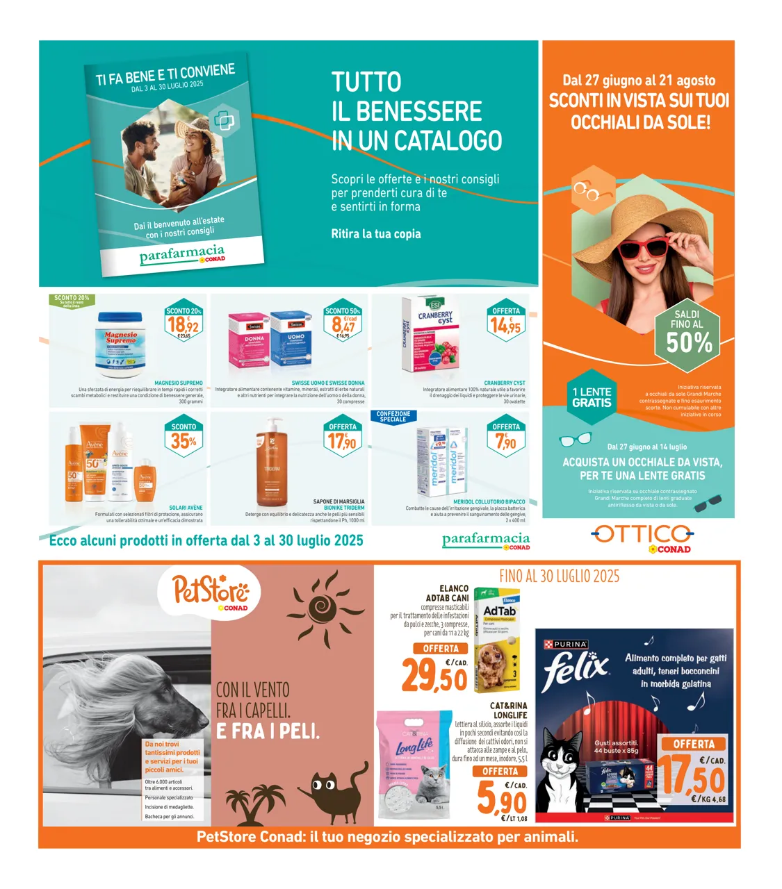 Pagina 19