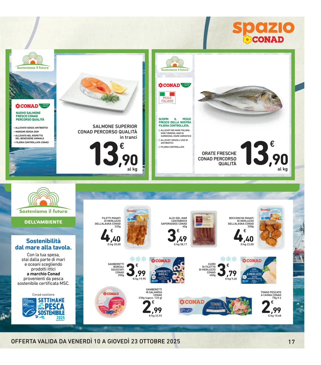 Pagina 17