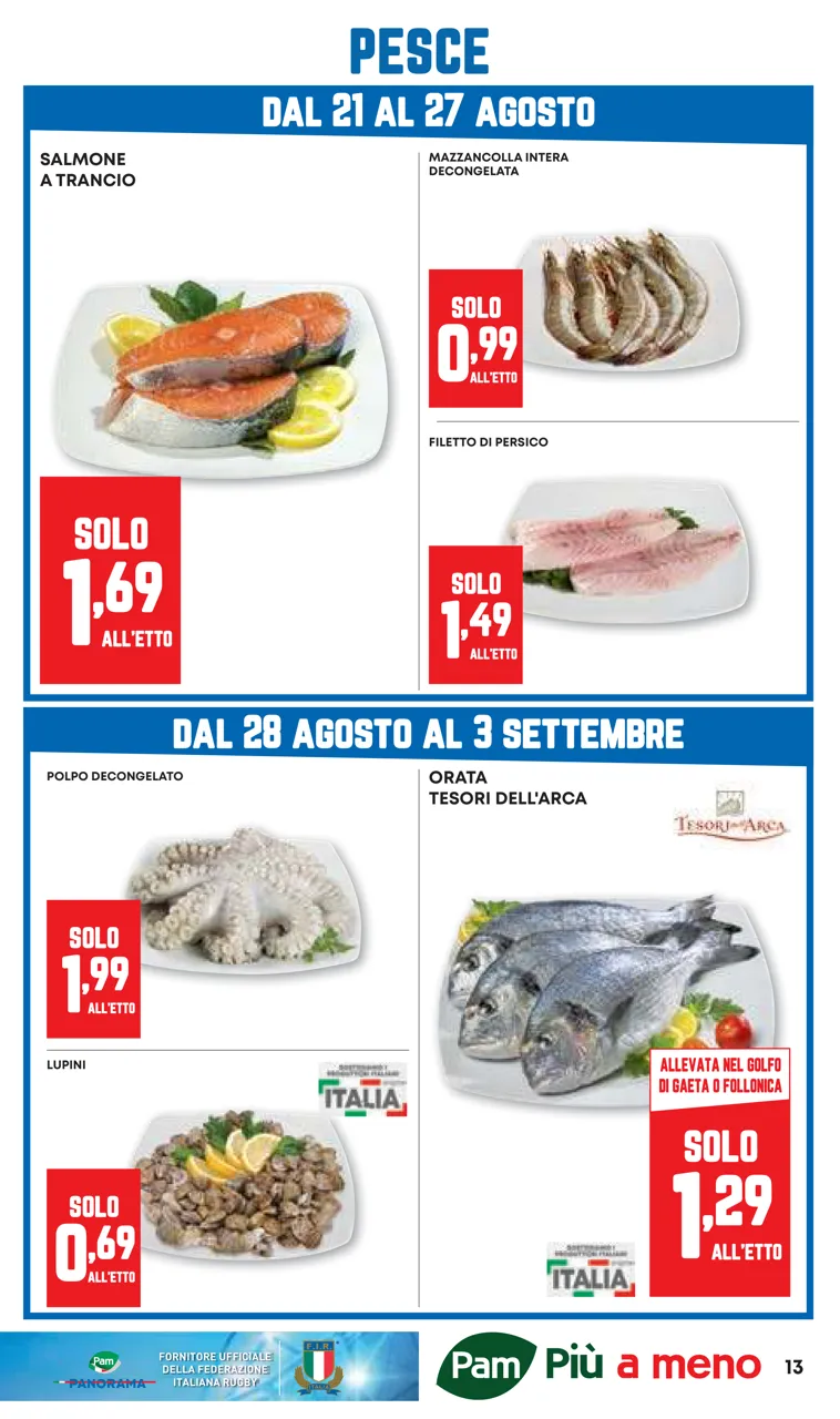 Pagina 13