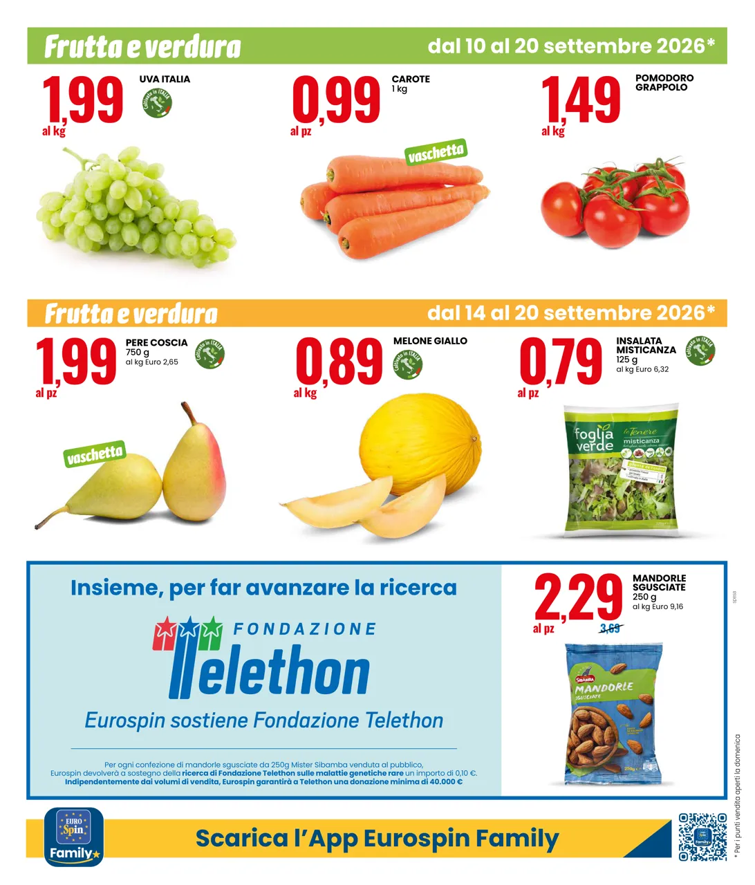 Pagina 12