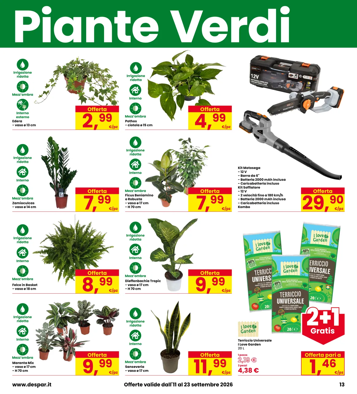 Pagina 13