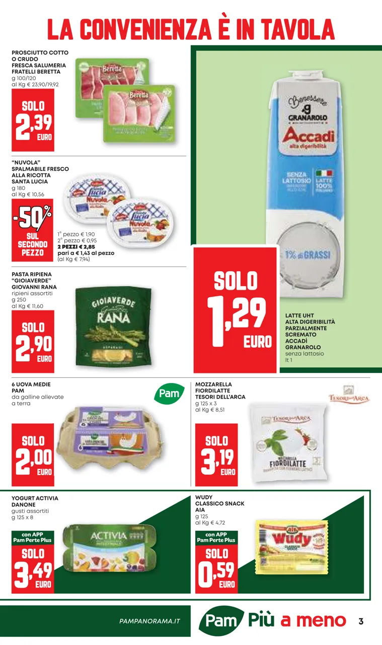 Pagina 3