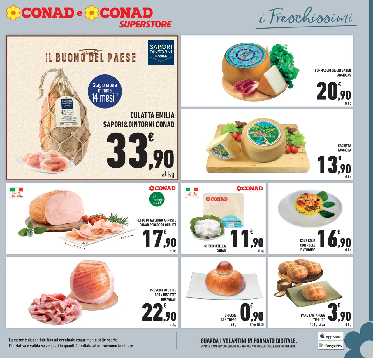 Pagina 7