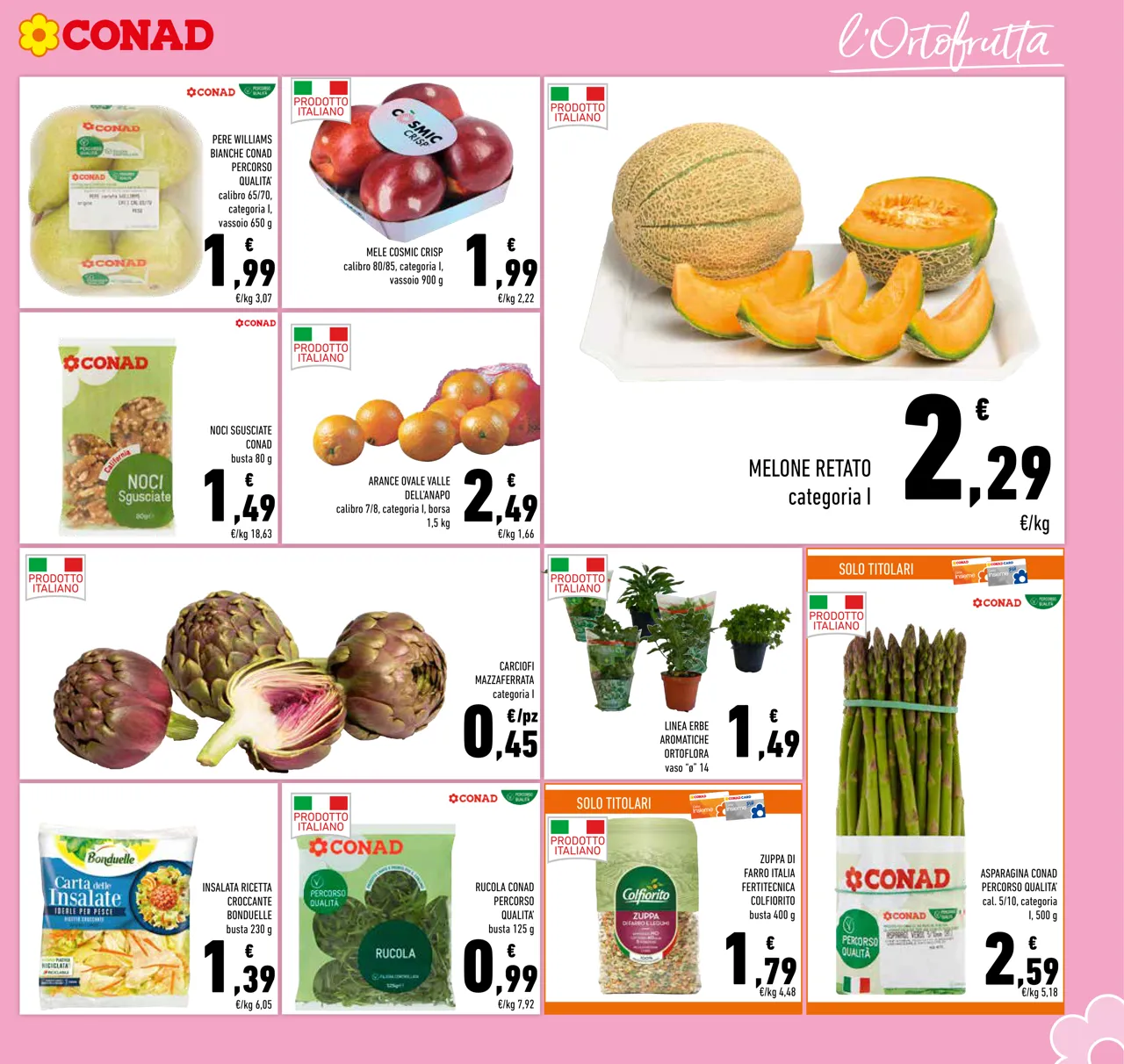 Pagina 5