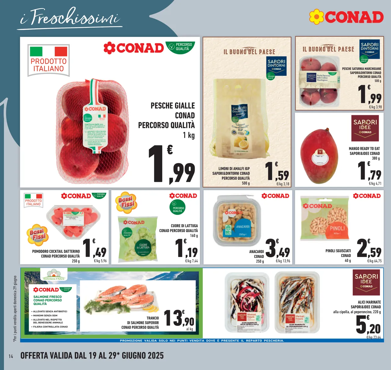 Pagina 14