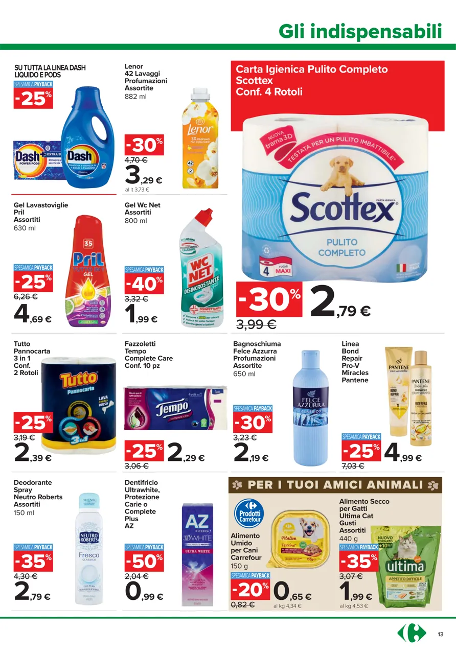Pagina 13