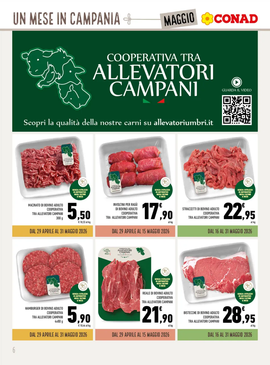Pagina 6
