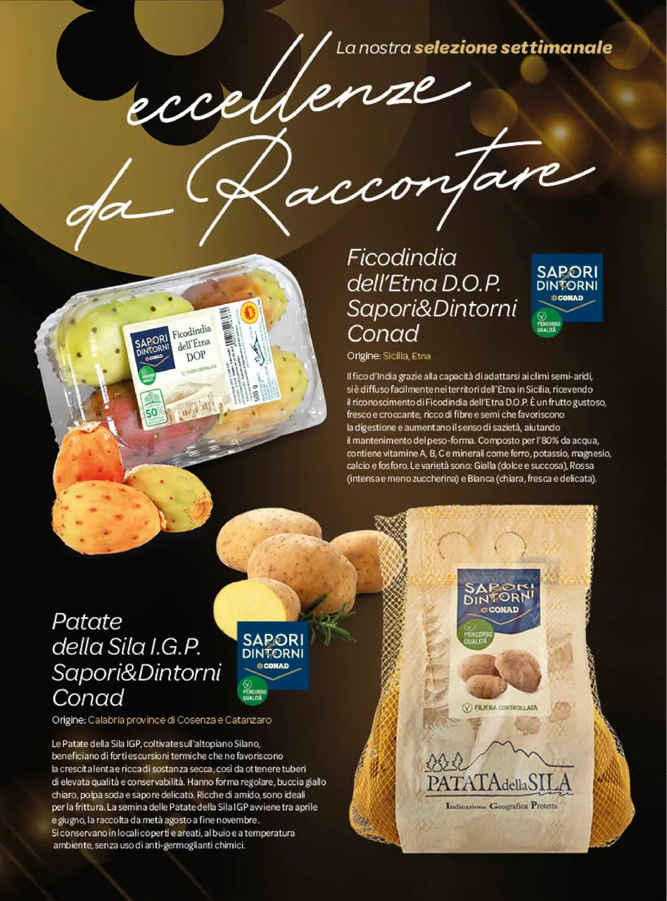 Pagina 15