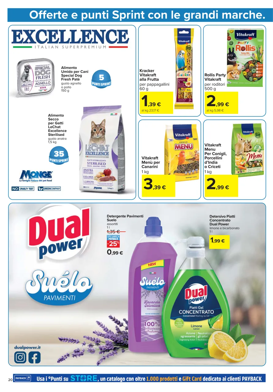 Pagina 20