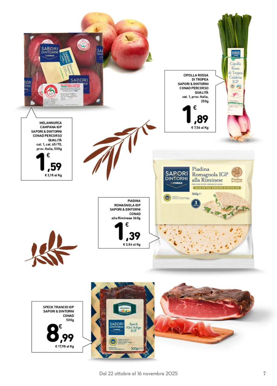 Pagina 7