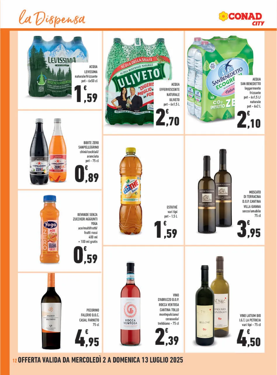 Pagina 12