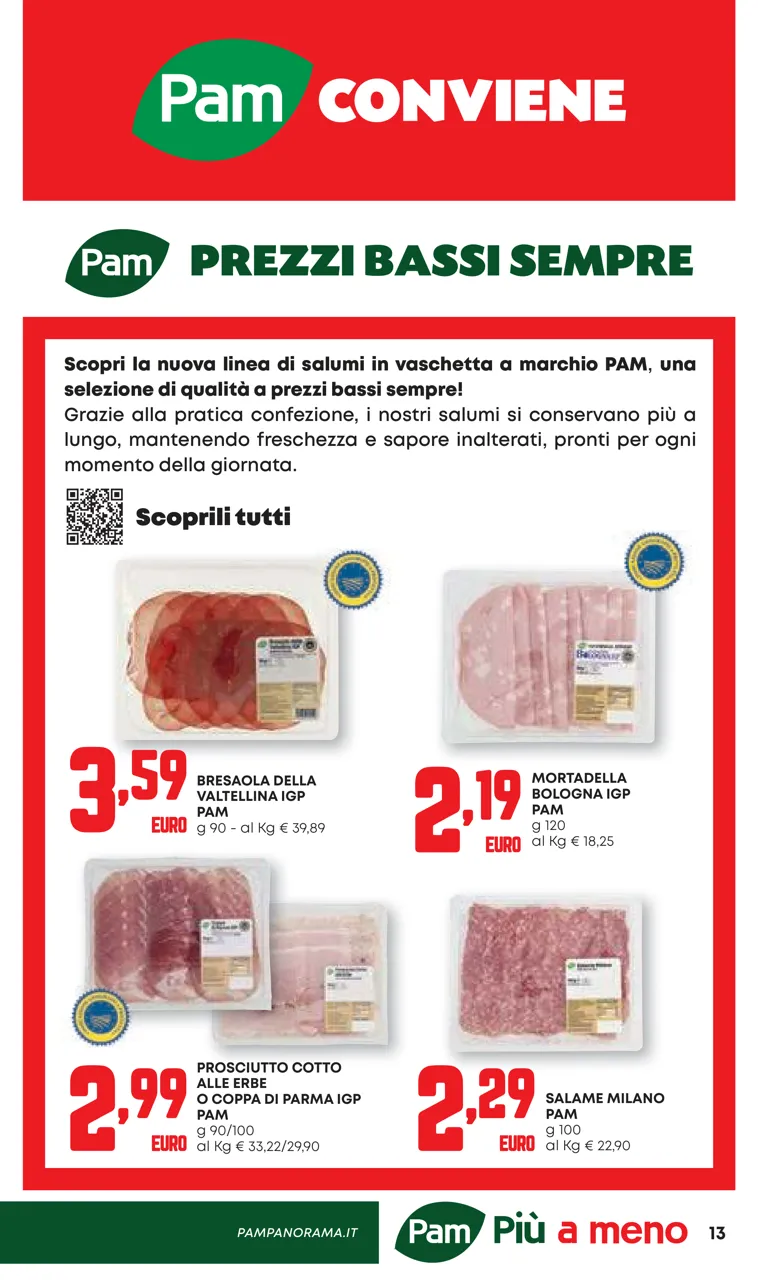 Pagina 13