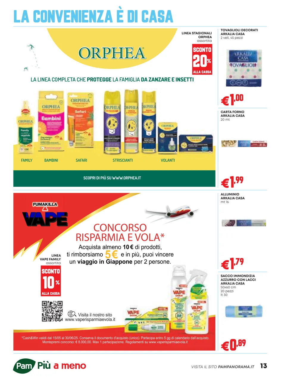 Pagina 13