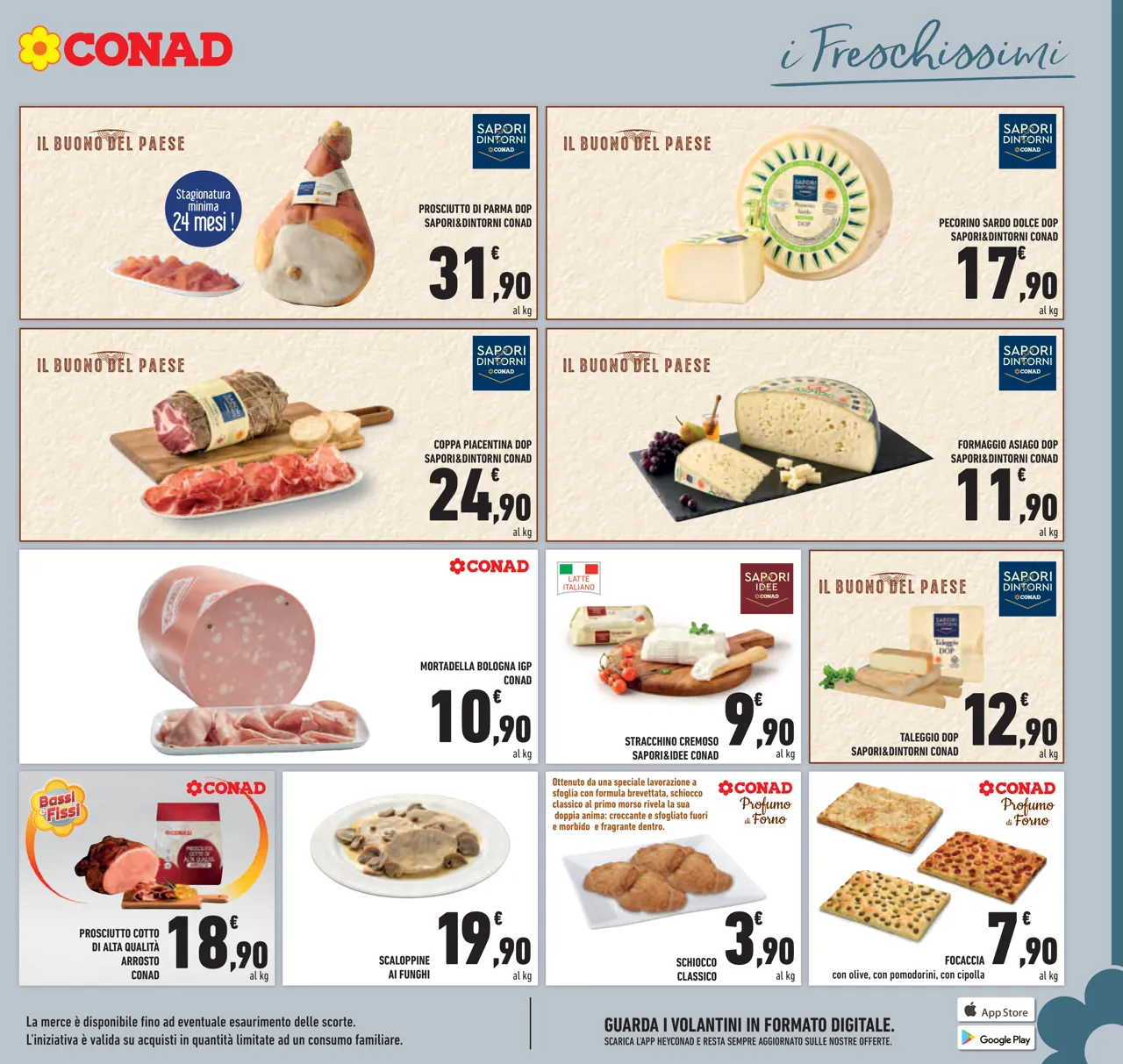 Pagina 15