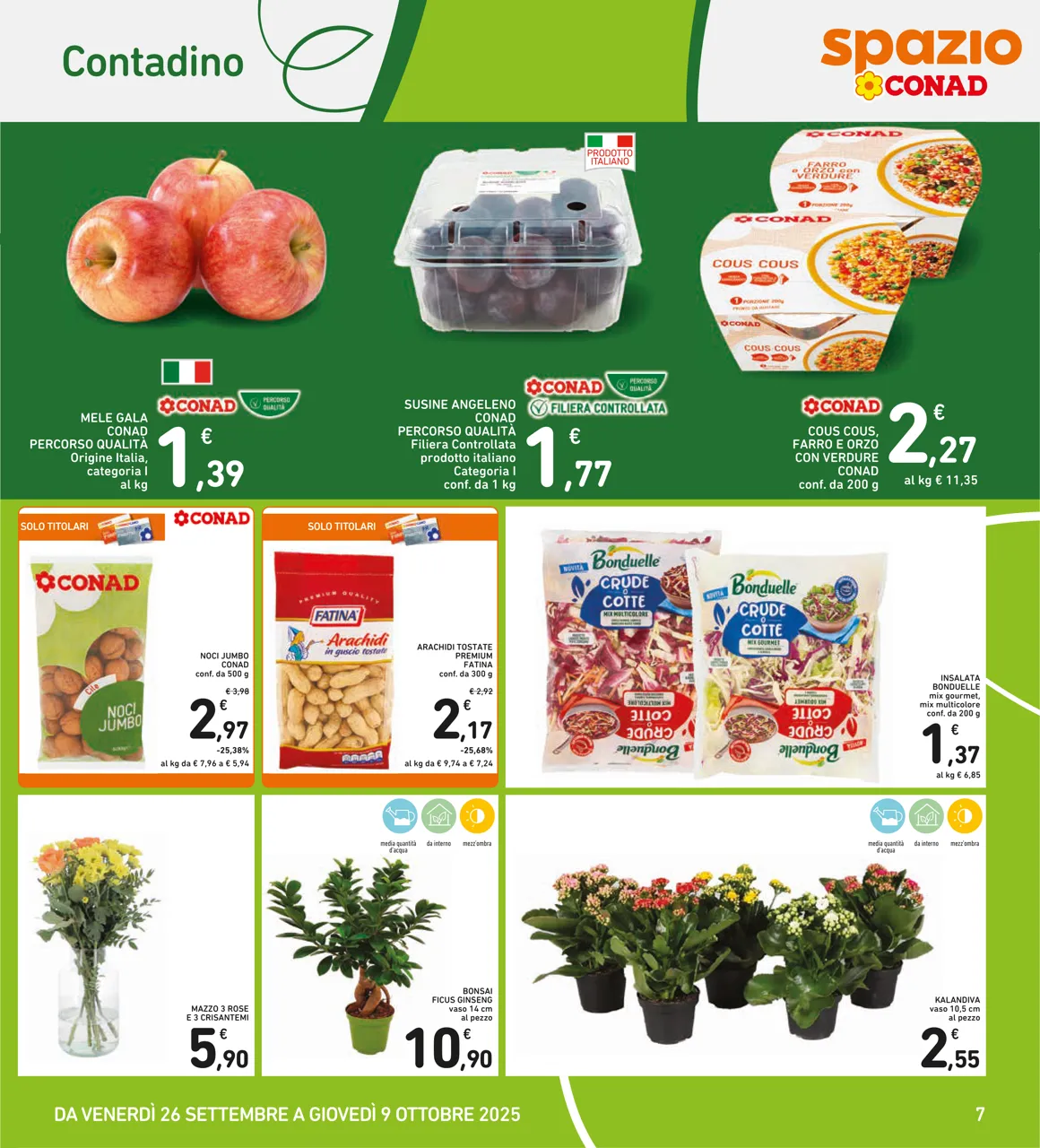 Pagina 7