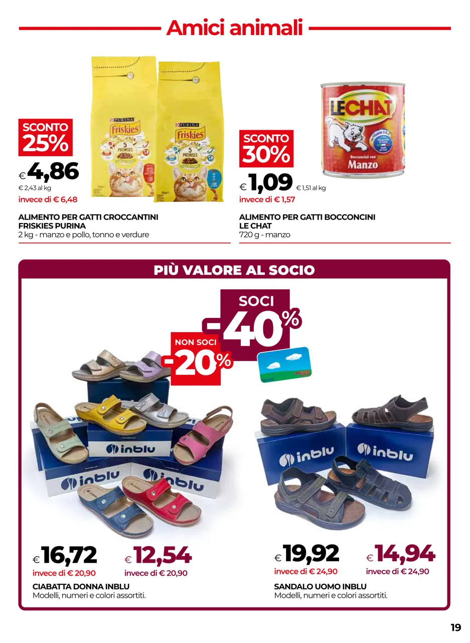 Pagina 19