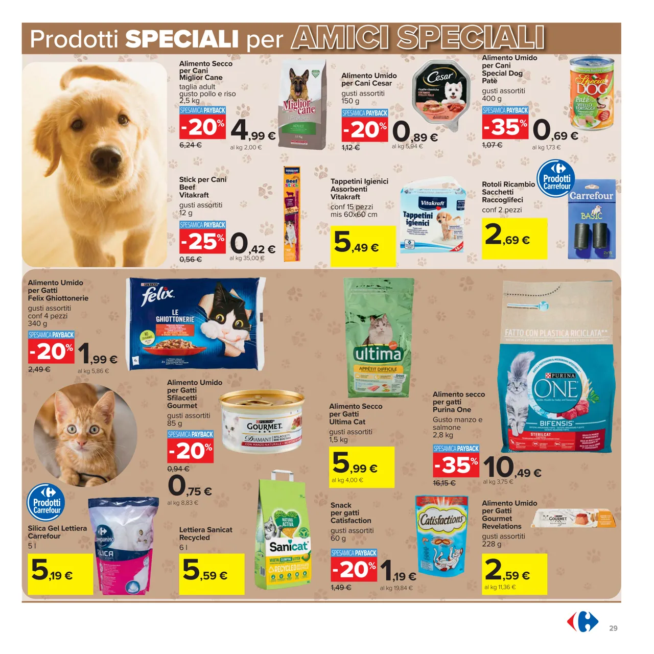 Pagina 29