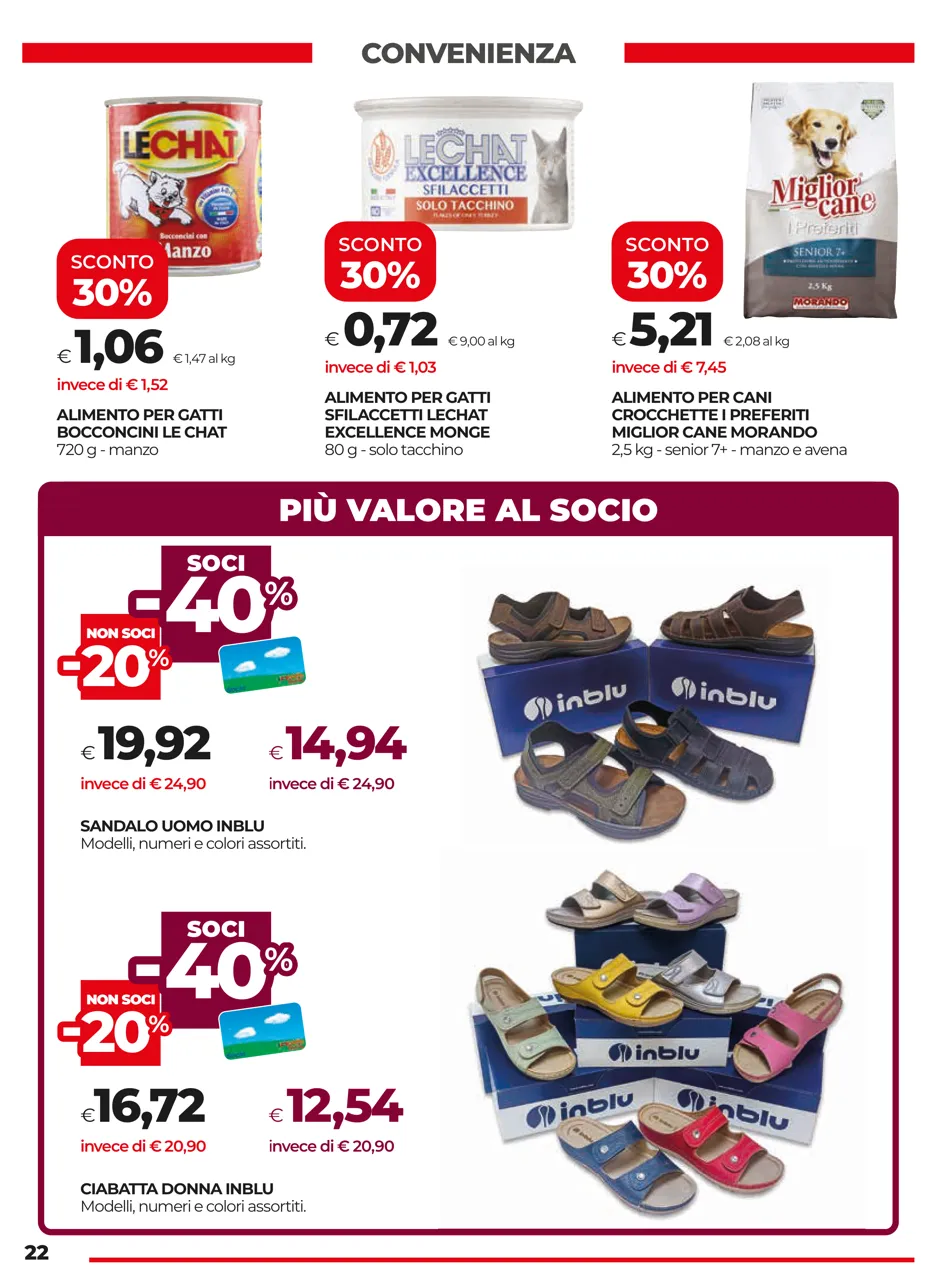 Pagina 22