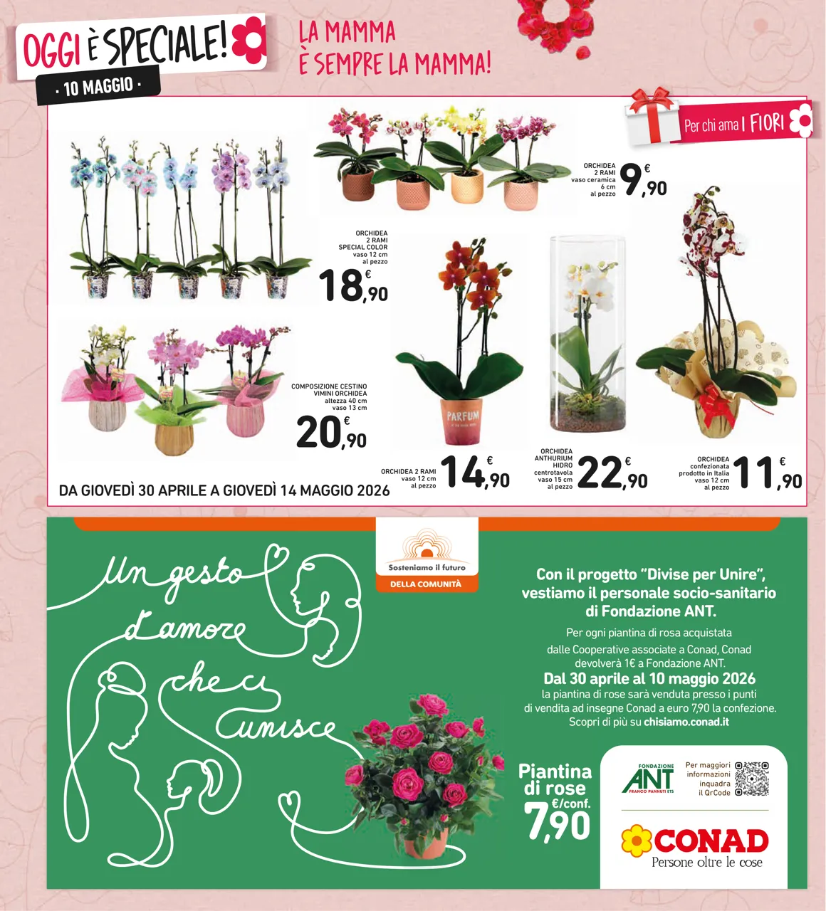 Pagina 6