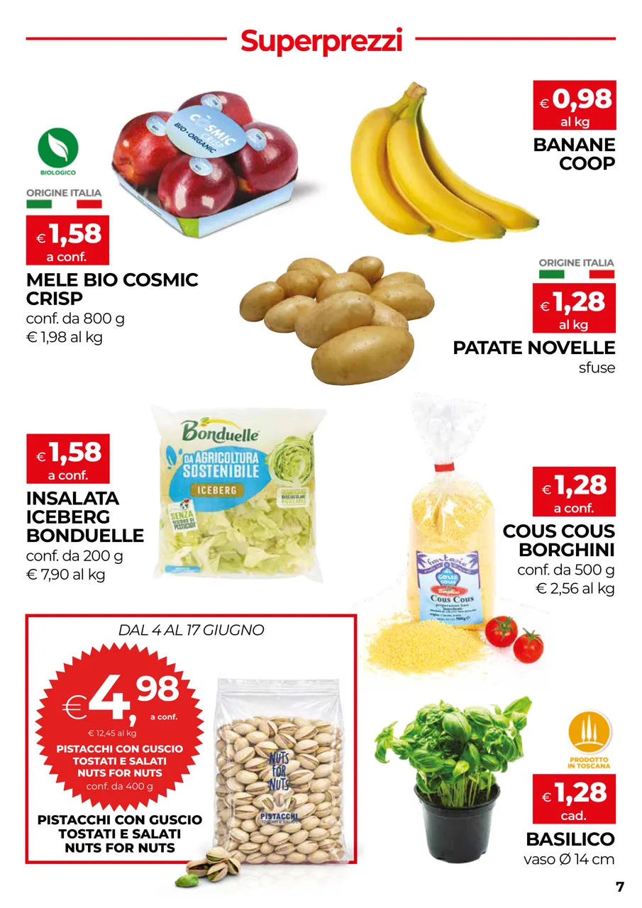 Pagina 7