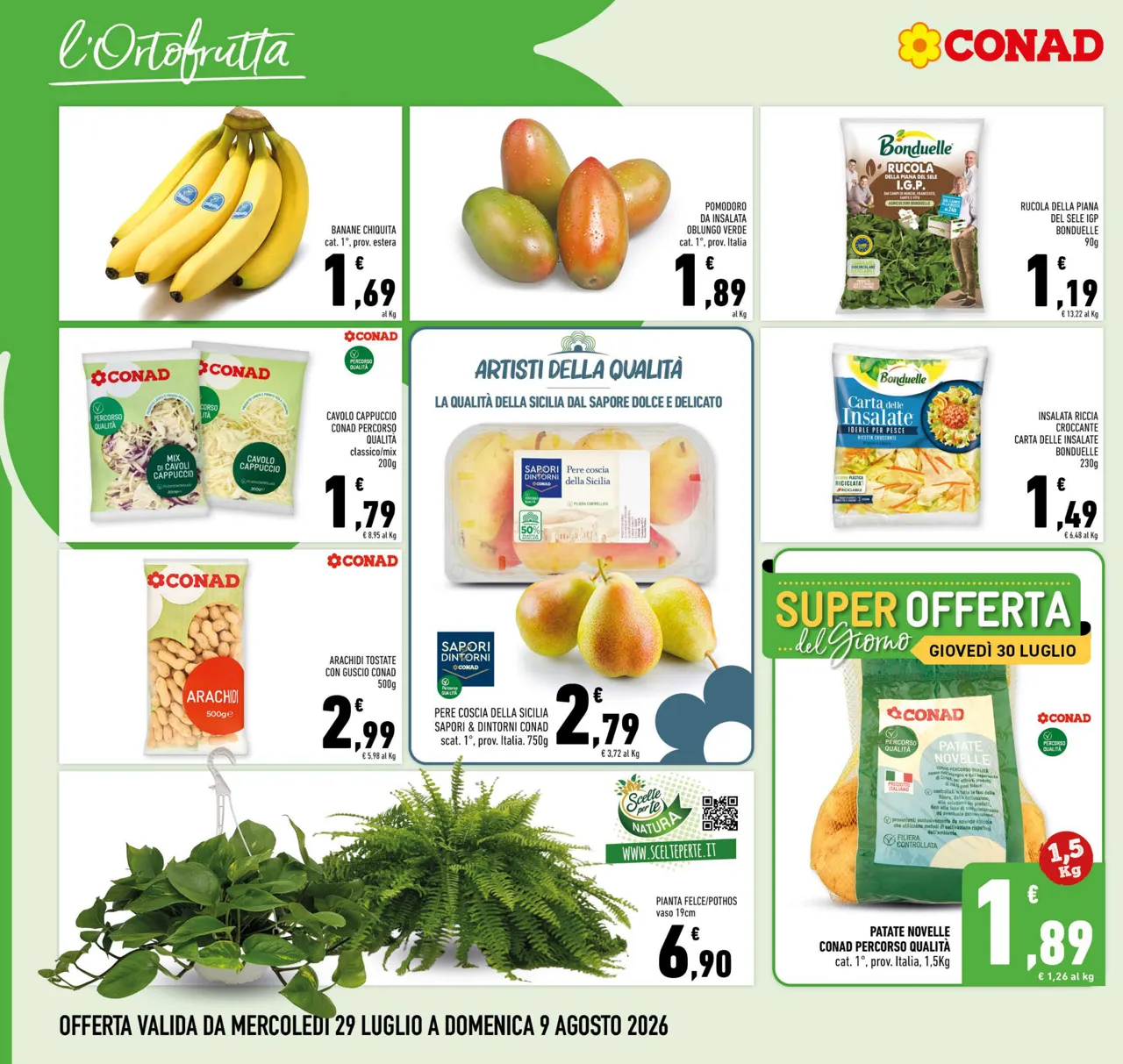 Pagina 2