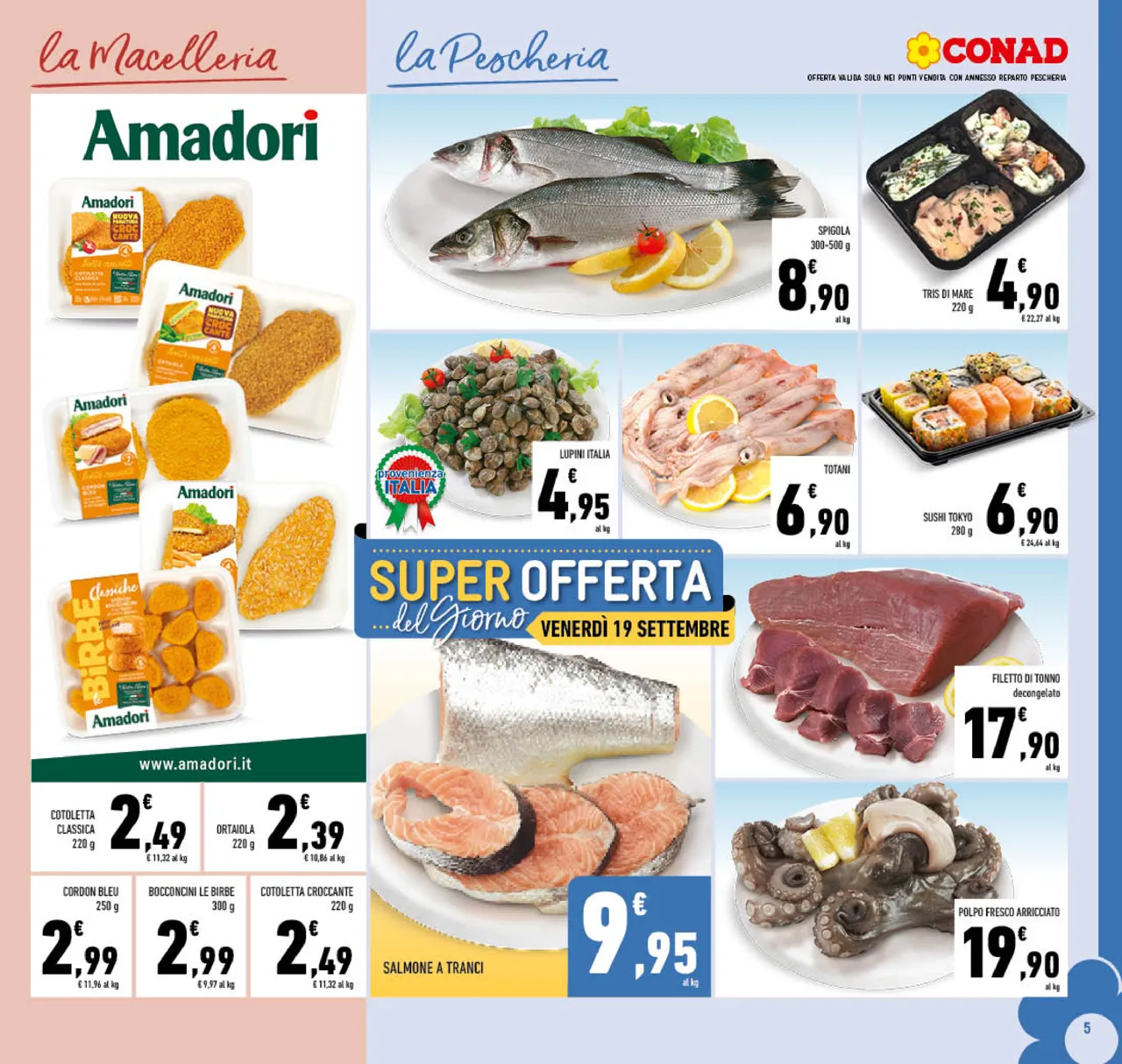 Pagina 5