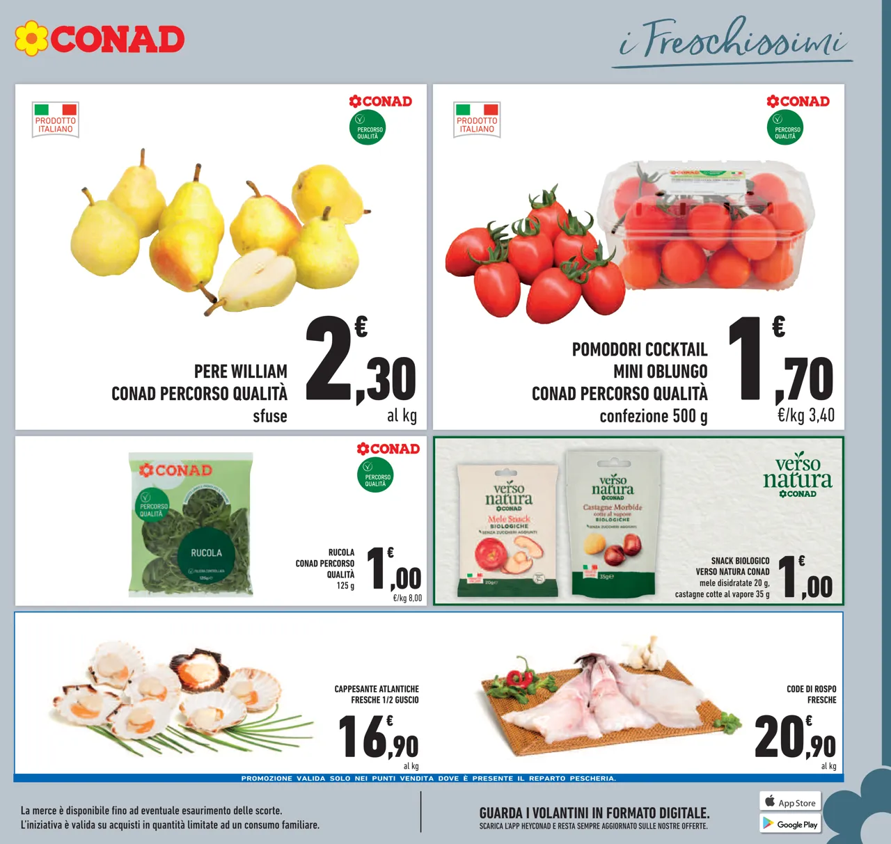 Pagina 5