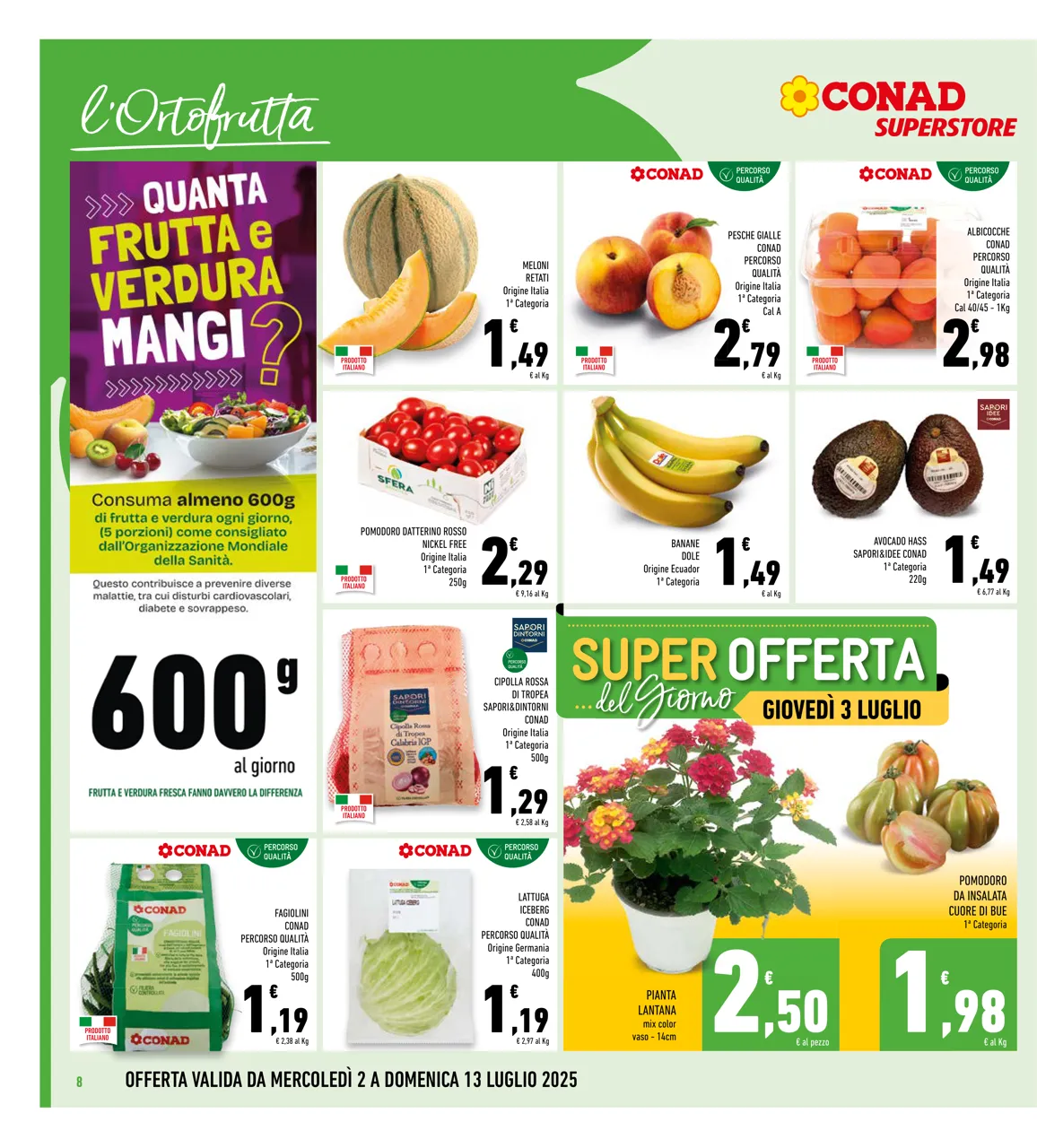 Pagina 8