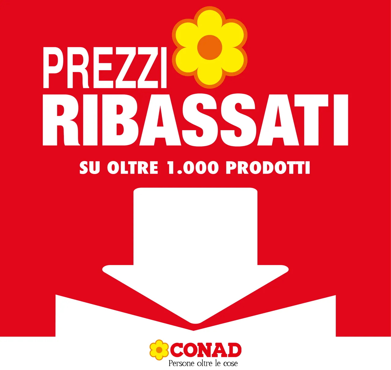 Pagina 31
