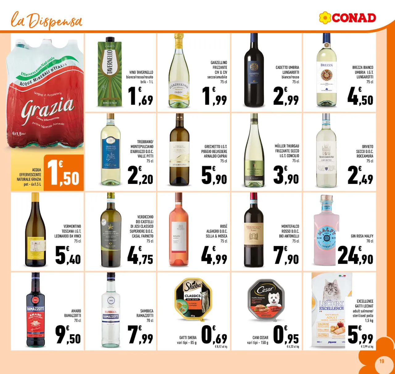Pagina 19