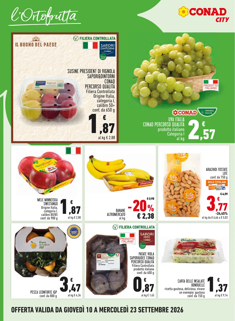 Pagina 6