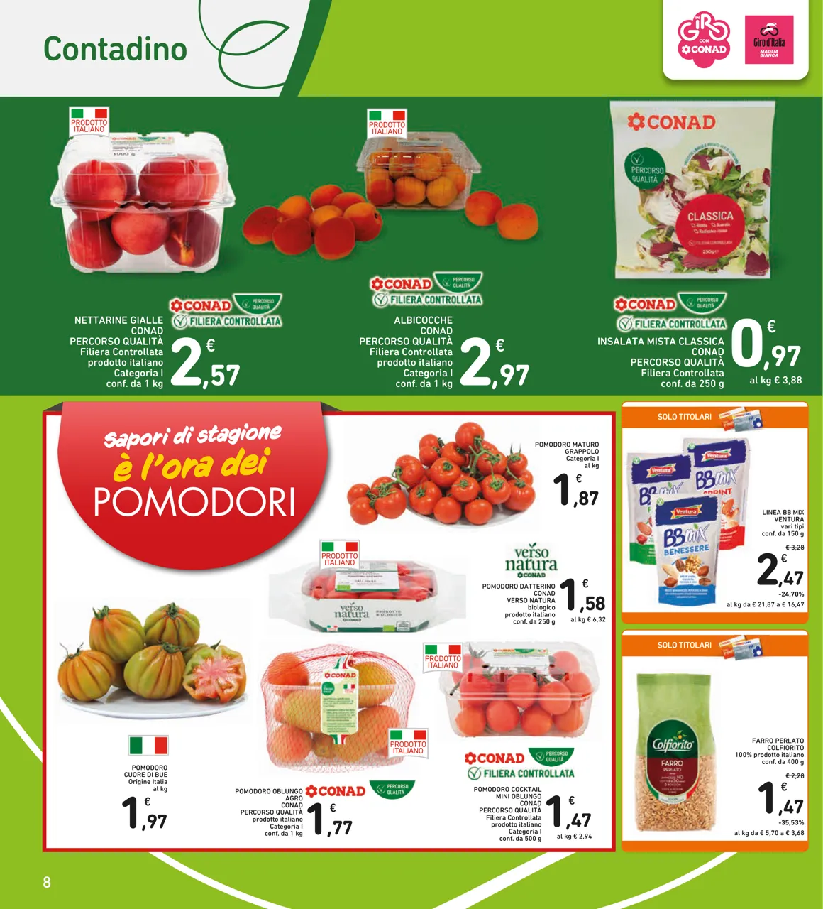 Pagina 8