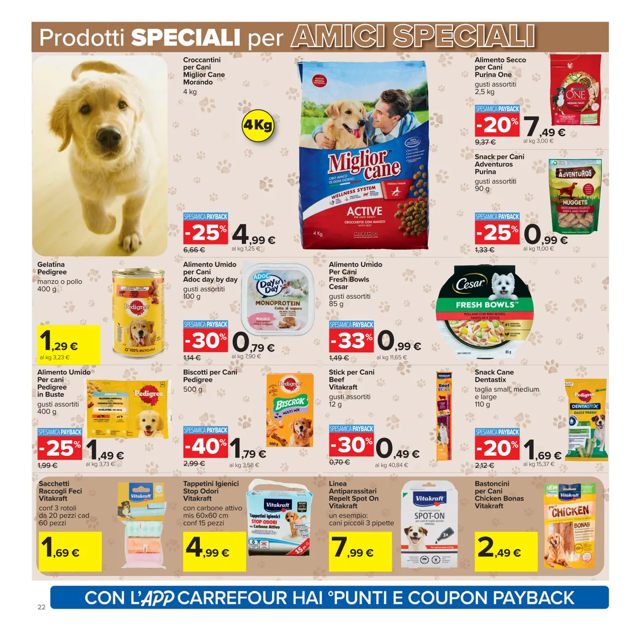 Pagina 22